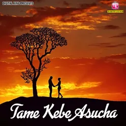 Tame Kebe Asucha